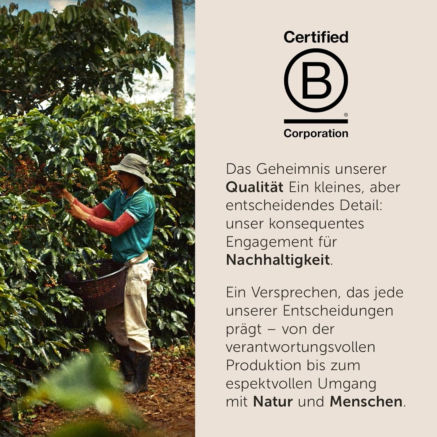 Illy Classico Gemahlen 250 g